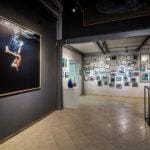 level cedric dasesson 5