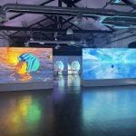 opificio innova motta