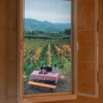 MASCIARELLI ART PROJECT_V Edizione_Anotherview N.40 Late Harvest at Masciarelli Vineyards di Anotherview_ph Barbarossa Studio_03